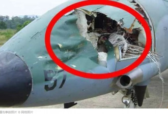 意外对手！ 中国一架战机撞鸟后坠毁