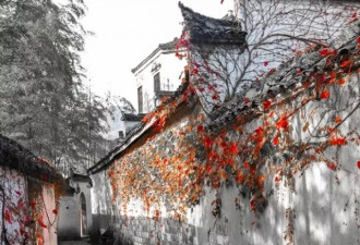 美国惊现百年安徽黄村老宅，这是怎么做到的？