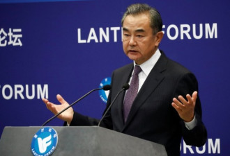 王毅：别以为自己拳头大就可以为所欲为