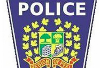 密西沙加严重车祸两死四伤