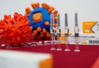 中国求世卫帮推广中国尚未完成试验的疫苗