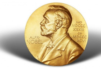 诺贝尔和平奖出来了！获奖者不是一个人！