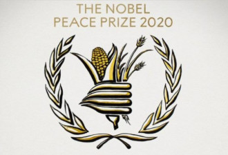 2020和平奖 抢救饥荒但止不住有组织性侵？