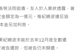 纪晓波欠债亿元被告上法庭？吴佩慈出面维护