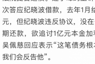 纪晓波欠债亿元被告上法庭？吴佩慈出面维护