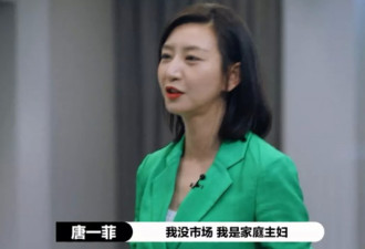 靠天然D杯迷倒王晶，插足他人婚姻