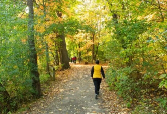 这个位于多伦多的小众赏枫公园藏着绝美秋色！