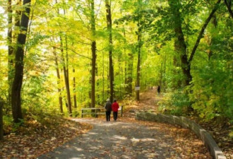 这个位于多伦多的小众赏枫公园藏着绝美秋色！
