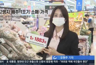 韩国大白菜飙涨至62元一颗！韩媒：吃钻石