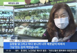 韩国大白菜飙涨至62元一颗！韩媒：吃钻石