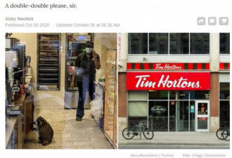 实拍！多伦多的小浣熊去Tim Hortons"上班"！
