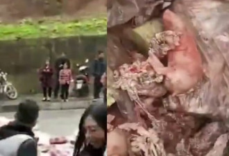 一场车祸冷冻车翻侧 结果传出阵阵恶臭……