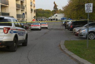 警方逮捕了30岁杀人嫌犯