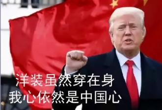 奇文：为何说川普同志其实是中国卧底
