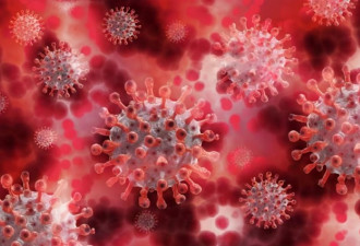 最新研究：新冠免疫可能只持续一月 要每年注射