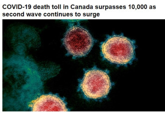 加拿大新冠病毒死亡人数破万