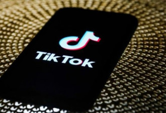 针对TikTok下载禁令，法官暗示没必要再裁决
