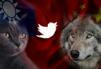 台“战猫”对中国“战狼”  谁更胜一筹？