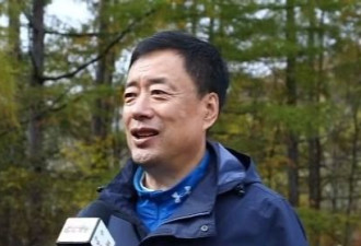 小兴安岭首次找到东北虎吃熊的珍贵影像证据