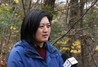 小兴安岭首次找到东北虎吃熊的珍贵影像证据