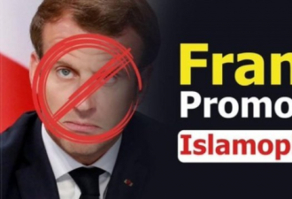 法国总统马克龙反击“单挑”整个穆斯林世界