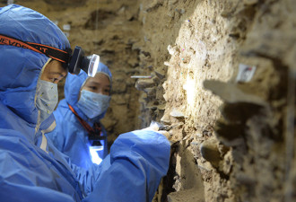 青藏高原溶洞遗址现丹尼索瓦人DNA