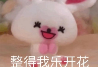 同样是嫁假富豪，她却无戏可拍....