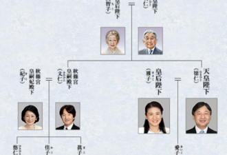 天皇宣布继承人为亲弟弟