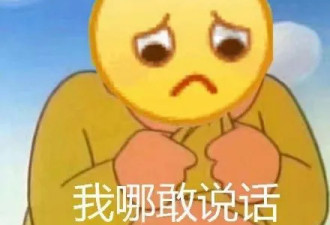 付完双十一尾款后，网友们又双叒疯了…