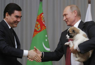土库曼斯坦总统钟爱国犬，当作厚礼送给普京