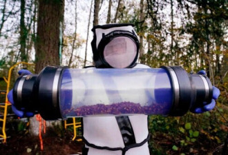 美国摧毁杀人蜂蜂巢：专家全副武装如生化电影