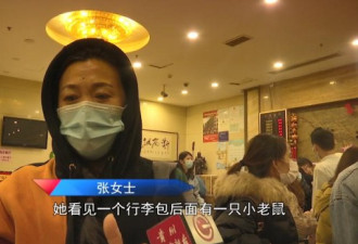 途径贵阳飞机遭老鼠逼停！乘客空乘机舱抓老鼠