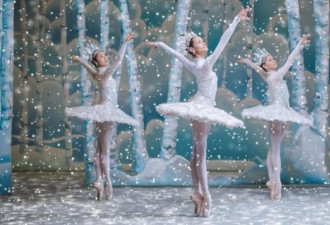 加拿大芭蕾舞团取消今冬明春演出季节