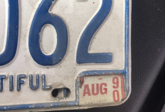 多伦多司机车牌过期30年！上次换牌才8岁……