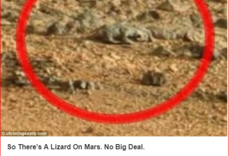 NASA好奇号又有惊人发现 火星现“爬行蜥蜴”