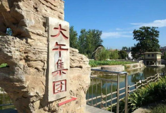 中国民营企业家与庙堂的剑拔弩张
