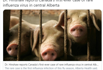 超罕见！加拿大首现人感染猪流感病例