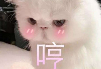 31岁嘎子哥直播卖假酒遭潘长江批