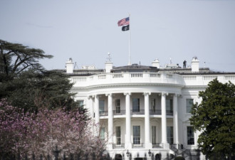 美国土安全部的两名官员已被白宫强制辞退