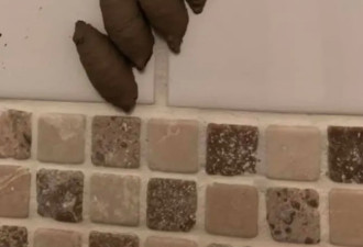澳洲妈妈浴室发现不明物体发帖求助