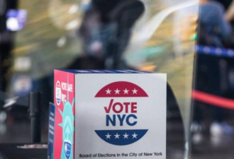 纽约州法官禁发布众议员选举结果