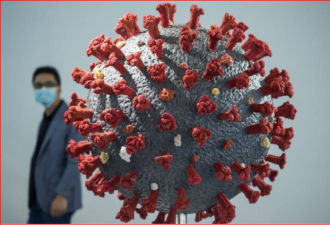扯！中国科学院又称新冠病毒源自印度