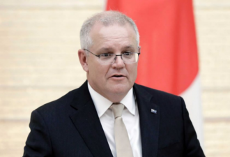 莫里森 这位向中国认怂的澳总理究竟什么来头？
