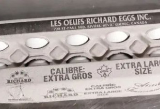 加拿大紧急召回9款热销鸡蛋！含致病细菌！