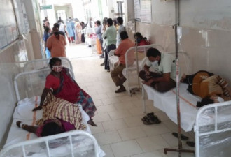 印度800多人因不明疾病住院