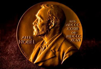 诺贝尔奖传统颁奖典礼因疫情取消 改各地颁发