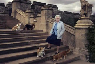 英国王室全家混蛋？94岁女王到7岁小乔治都…