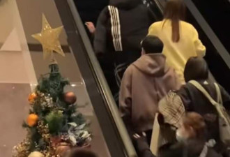 张钧甯团队被指耍大牌与路人大打出手 真相曝光