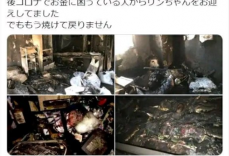 日本宅男家中失火，价值百万手办被烧毁