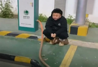 中国男子蹲在充电桩边嗑瓜子：后悔买了新能源